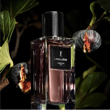 [Chiết 10ml] Yves Saint Laurent Lavalliere Lucious Fig Le Vestiaire des Parfums