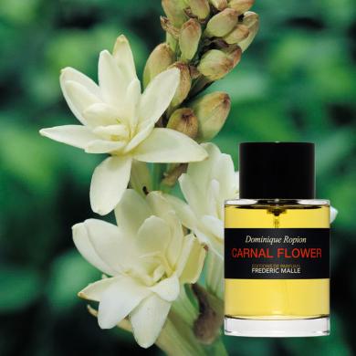 [Chiết 10ml] Frederic Malle Carnal Flower  Eau De Parfum